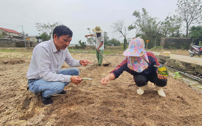 Bà con vùng lũ xã Gia Ninh (huyện Quảng Ninh) khẩn trương đưa hạt giống vào gieo để có thu hoạch sớm. Ảnh: N.Tâm.