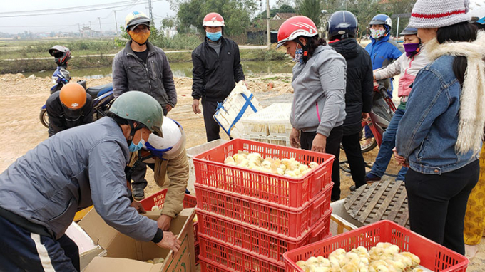 Người dân huyện Quảng Ninh nhận gà giống hỗ trợ. Ảnh: L.Chi