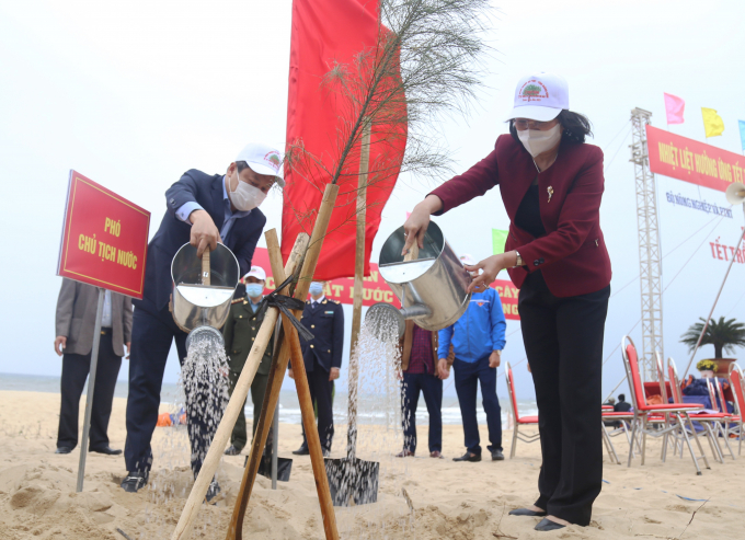Phó Chủ tịch nước Đặng Thị Ngọc Thịnh trồng cây tại bờ biển xã Quang Phú. Ảnh: N.Tâm.