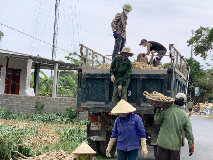 Các nhà máy đi vào hoạt động đã thu mua sắn nguyên liệu để người nông dân yên tâm sản xuất. Ảnh: Ng. Nhân