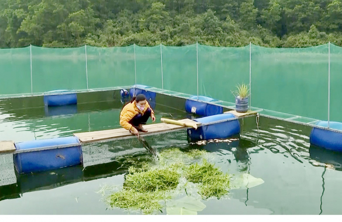 Người dân Minh Hóa phát triển nuôi cá nước ngọt đảm bảo môi trường. Ảnh: Công Điền.