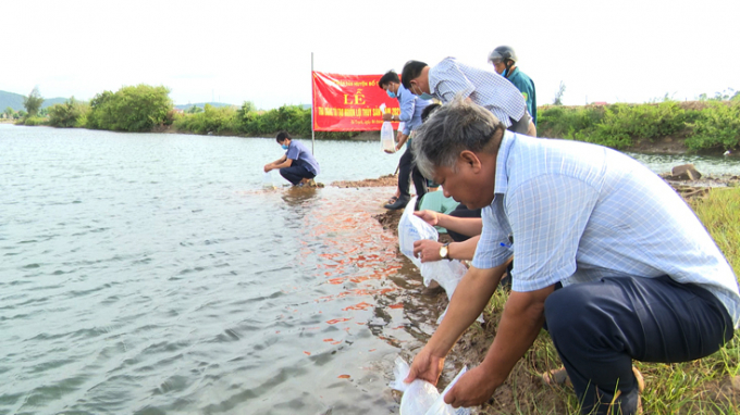 Thả cá giống để bảo vệ môi trường và tái tạo nguồn lợi thủy sản ở Quảng Bình. Ảnh: Công Điền.
