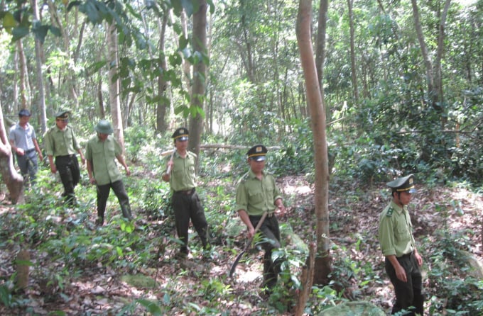 Lực lượng kiểm lâm VQG PN - KB thường xuyên tổ chức tuần tra bảo vệ rừng trong mùa nắng nóng. Ảnh: H.Trà.