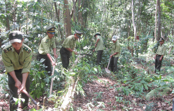 Lực lượng kiểm lâm của Hạt Kiểm lâm VQG PN - KB tạo băng cản lửa để hạn chế cháy rừng trong mùa hanh khô. Ảnh: H.Trà.