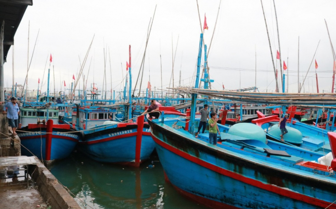 Currently, Khanh Hoa fishermen's awareness have been improved while there is no longer illegal fishing for many years. Photo: KS.