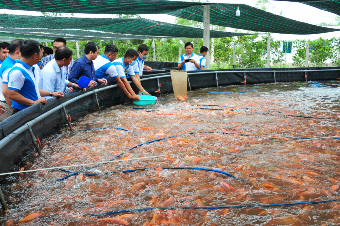 The approval of the plan will be an important legal basis for more effective prevention of aquatic diseases. Photo: TL.