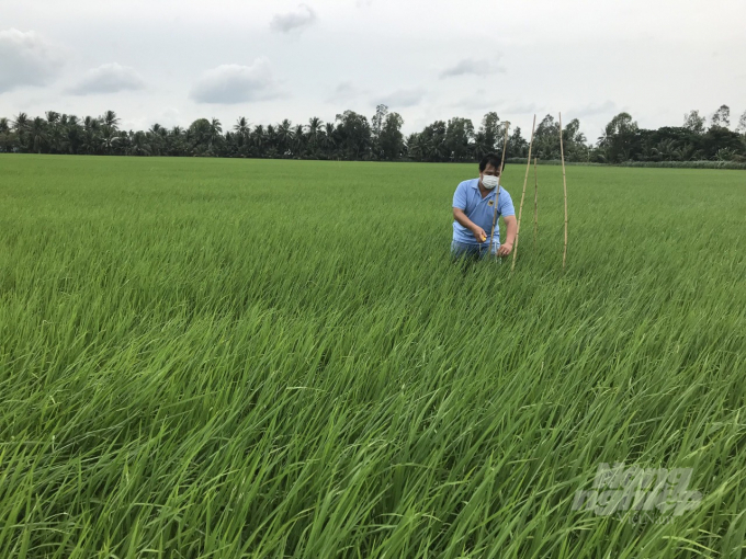 Smart rice farming in Soc Trang Province. Photo: Trong Linh.