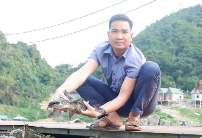 Các hộ dân ở xã Thung Nai, chủ yếu nuôi các loài cá đặc sản như trắm đen, cá lăng, cá chiên.. để phục vụ khách du lịch. Ảnh: Trung Quân.