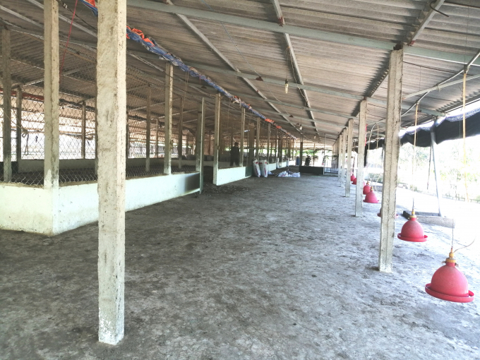 Nhiều chuồng nuôi gà tại Sơn Tây, Ba Vì bỏ trống do người chăn nuôi không còn đủ khả năng kinh tế để tái đàn. Ảnh: Trung Quân.
