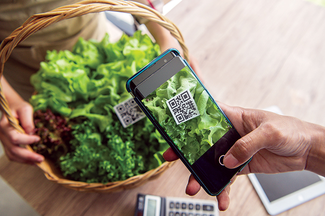 Product traceability codes would help customers easily check the product quality, thus reliable businesses would have opportunities to grow further. Photo: TL.