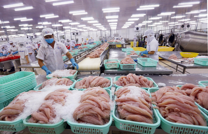 Seafood exports for the whole year are expected to reach more than USD 8.8 billion. Photo: TL.