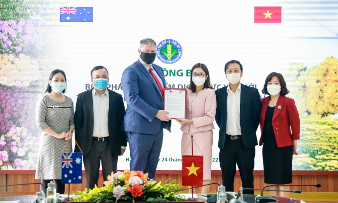 Mr. Tony Harman, Australian Agricultural Counselor in Vietnam, handed the DPP representative 'Approval Decision to use the Metsulfuron methyl as an alternative to Glyphosate to treat cut chrysanthemum sprouts for export to Australia'. Photo: Trung Quan.