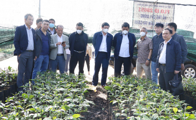 Thứ trưởng Trần Thanh Nam cùng lãnh đạo Ban quản lý Dự án VnSAT Trung ương thăm vườn ươm cây giống cà phê của HTX Nông nghiệp Công Bằng Thuận An (Đăk Nông). Ảnh: Minh Quý.