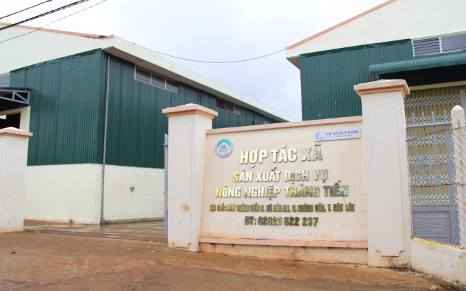 Thang Tien Cooperative was established with the assistance of VnSAT project. Photo: Quang Yen.