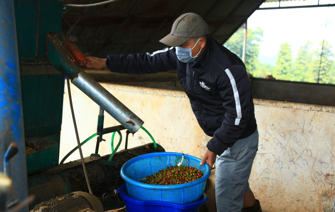 Cooperatives and cooperative groups are supported with equipment to improve coffee quality. Photo: Quang Yen.