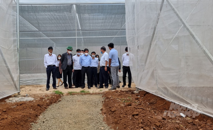Here, Deputy Minister Le Quoc Doanh asked the units to speed up the progress and soon put the net houses and greenhouses to produce quality seeds to serve the restructuring of the coffee industry in the area.