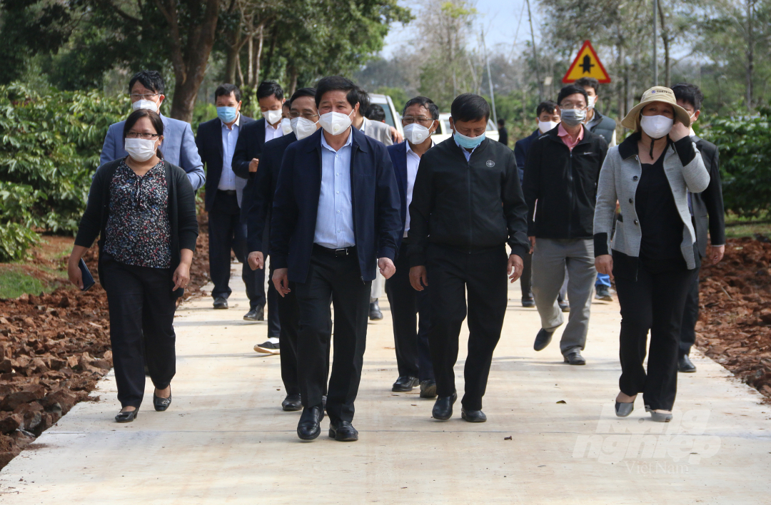 Previously, on January 4, Deputy Minister Le Quoc Doanh checked the progress of road implementation that the VnSAT project supporting the Central Highlands Agro-Forestry Science Institute implemented in the production area.