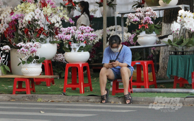 Một nhân viên cửa hàng hoa lan Hồ Điệp tranh thủ sử dụng điện thoại khi vắng khách. Các chủ vựa hoa cho biết người dân vẫn chưa sẵn sàng chi tiền mua sắm Tết mà chỉ đến hỏi giá rồi bỏ đi.