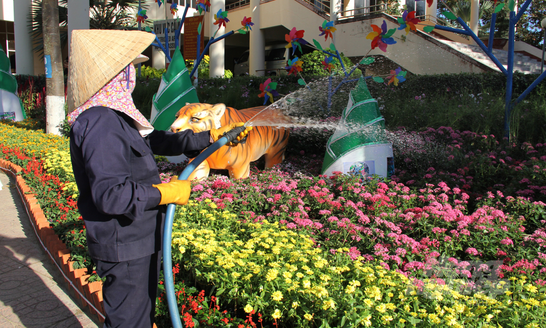Do TP Buôn Ma Thuột đang là mùa nắng nên các công nhân Công ty môi trường đô thị Đăk Lăk phải thường xuyên tưới nước để các loại hoa không bị héo.