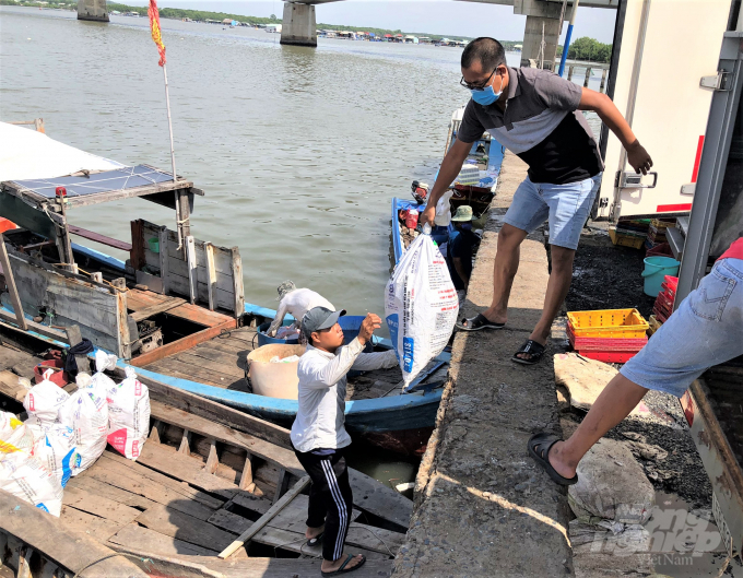 Người dân đang vận chuyển những bao cá chết lên bờ để bán cho các cơ sở sản xuất thức ăn chăn nuôi. Ảnh: MS.