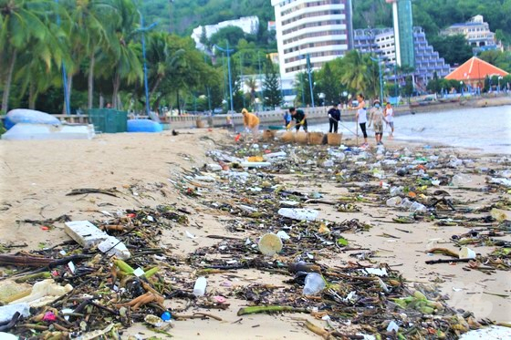 Môi trường biển đang bị ô nhiễm vì những 'con sóng rác thải' tấn công. Ảnh: AV.