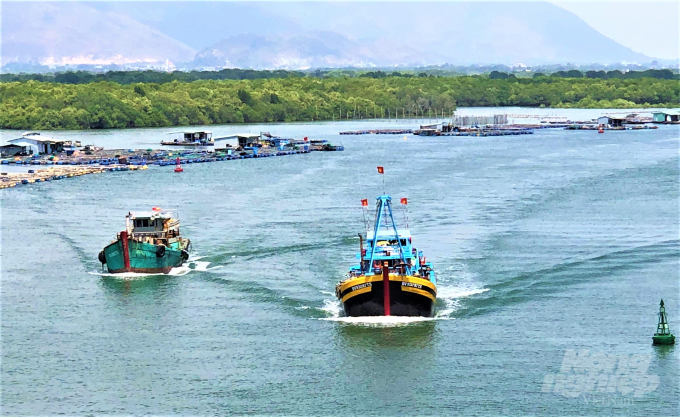 Hiện tỉnh Bà Rịa – Vũng Tàu đang thực hiện quyết liệt, đồng bộ các giải pháp, không chỉ với mục tiêu gỡ bỏ 'thẻ vàng' mà còn phát triển bền vững ngành đánh bắt, chế biến thủy sản của tỉnh. Ảnh: MS.