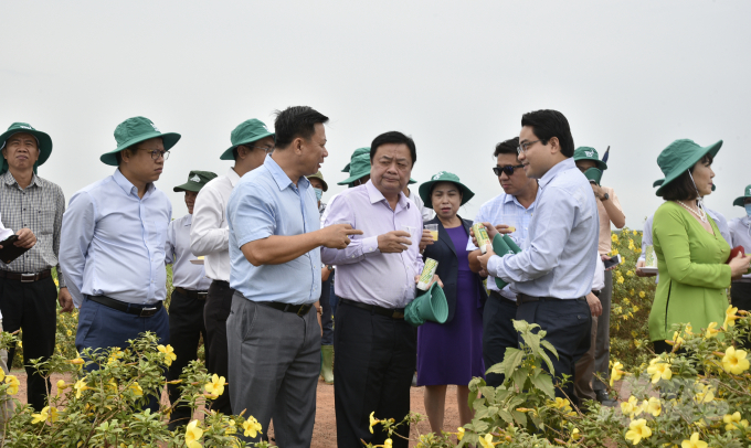 Đoàn công tác thăm quan mô hình nông nghiệp 4.0 tại huyện Châu Thành, tỉnh Tây Ninh. Ảnh: Trần Trung.