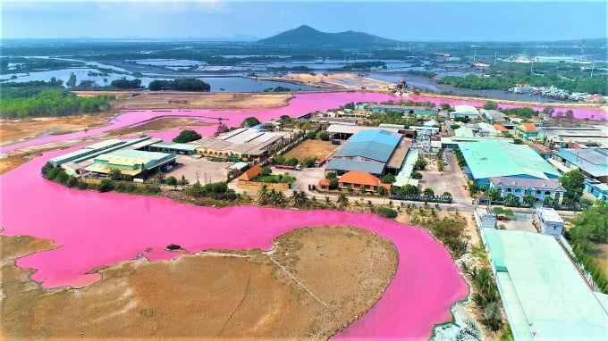 Kết quả khảo sát, đánh giá của Viện Sinh học nhiệt đới màu sắc hồng tím của hồ chứa nước do tảo lục D.Salina không ảnh hưởng gì lớn, nên giữ nguyên hiện trạng hồ hiện tại. Ảnh: AK.