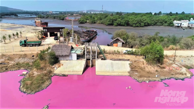 Hiện trạng nước trong Đầm chứa nước trước Cống số 6, tại xã Tân Hải, thị xã Phú Mỹ, tỉnh Bà Rịa Vũng Tàu (BR-VT) những ngày qua chuyển màu tím hồng. Ảnh: AK.