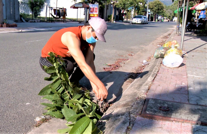 Những cái 'bẫy' rải rác khắp nơi.