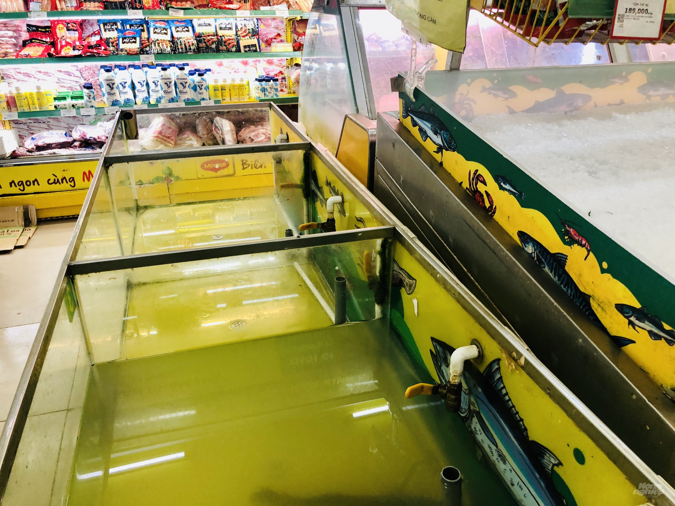 Do nhu cầu mua sắm tăng đột biến khiến nhiều quầy kệ hàng thực phẩm tại một số siêu thị Bách Hoá Xanh cũng đã hết sạch hàng. Ảnh: MV.