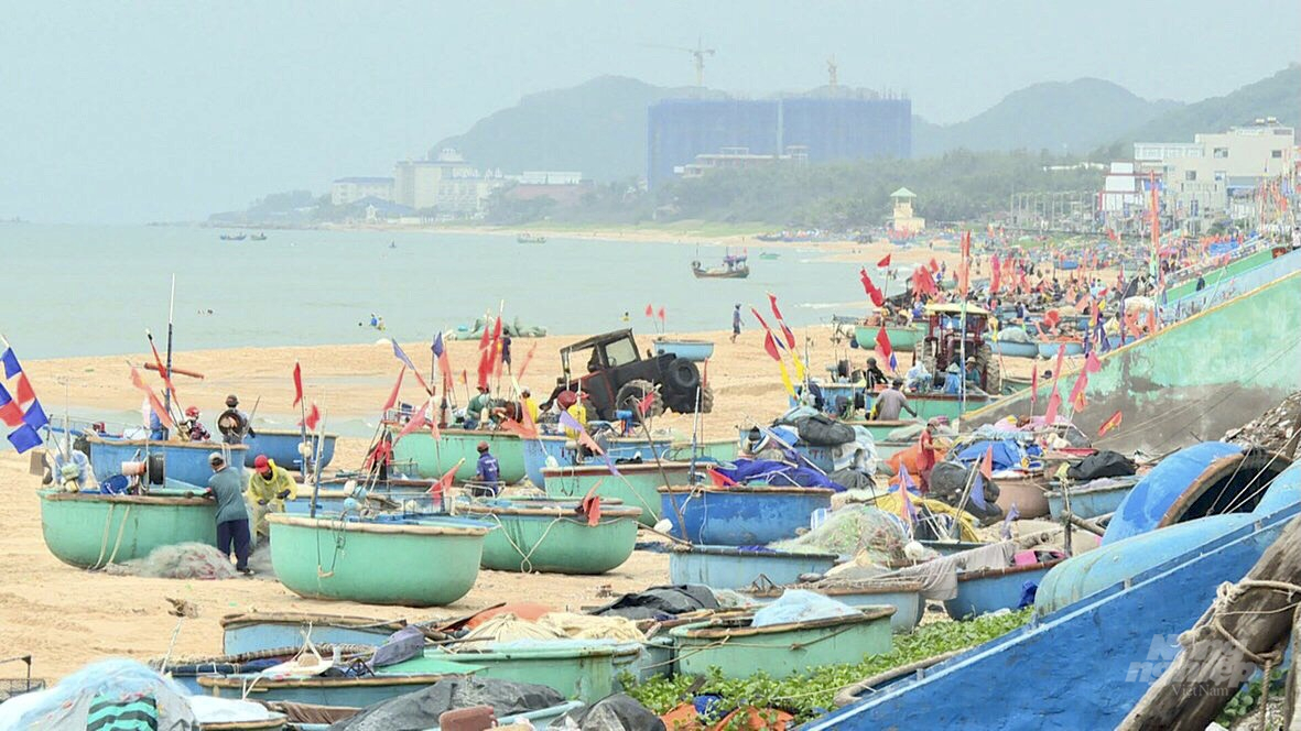Đất Đỏ là phương đầu tiên của tỉnh Bà Rịa - Vũng Tàu cho phép ngư dân được đánh bắt gần bờ theo hướng dẫn của địa phương. Ảnh: MV.