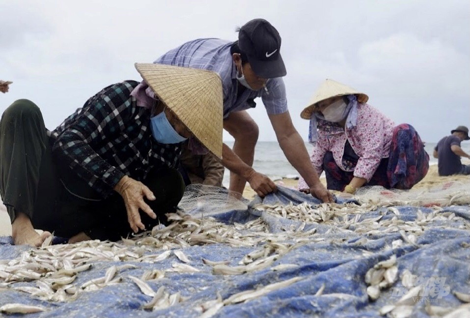  Ngư dân tỉnh Bà Rịa - Vũng Tàu phấn khởi trúng những mẻ cá lớn. Ảnh: MV.