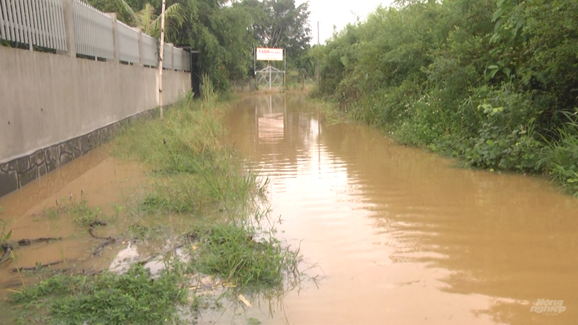 Nhiều nơi khu vực ven sông Đồng Nai còn đang bị ngập do nước lũ từ thượng nguồn đổ xuống. Ảnh: Văn Tuấn.