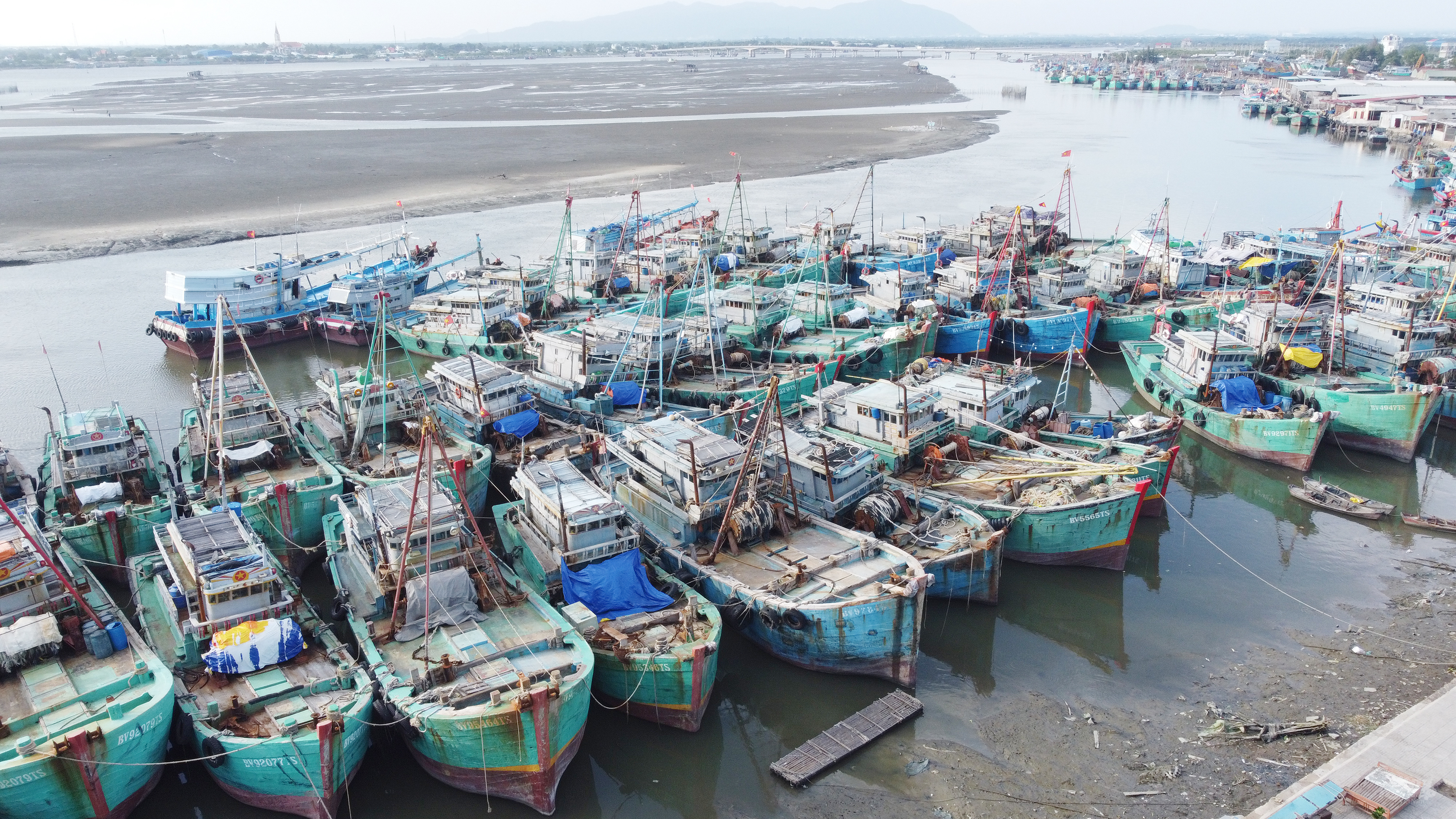 Ngoài tàu, thuyền của ngư dân trong tỉnh BR-VT, đây còn là điểm đến của ngư dân nhiều địa phương ven biển khác. Ảnh: Nguyễn Thủy.