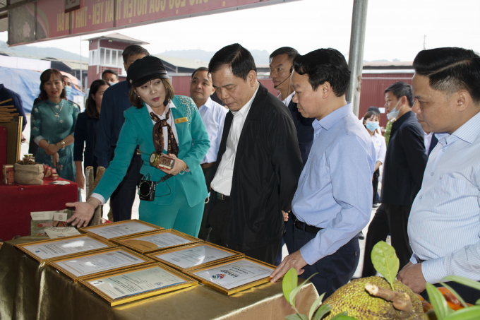 Bộ trưởng Nguyễn Xuân Cường thăm Cty Quế hồi Việt Nam. Ảnh: Thái Sinh.