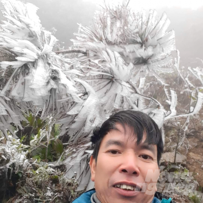 Hoa băng trên đỉnh đèo Khau Phạ. 