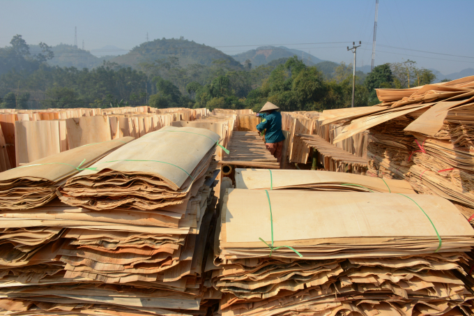 Ván bóc là sản phẩm xuất khẩu lớn nhất tỉnh Yên Bái. Ảnh: Thái Sinh.