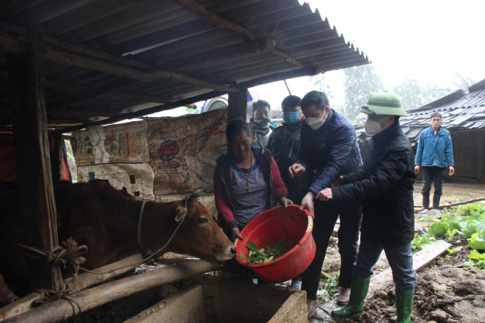 Cán bộ ngành nông nghiệp được tăng cường xuống địa phương đôn đốc công tác chống đói rét cho gia sú. Ảnh: CTV.