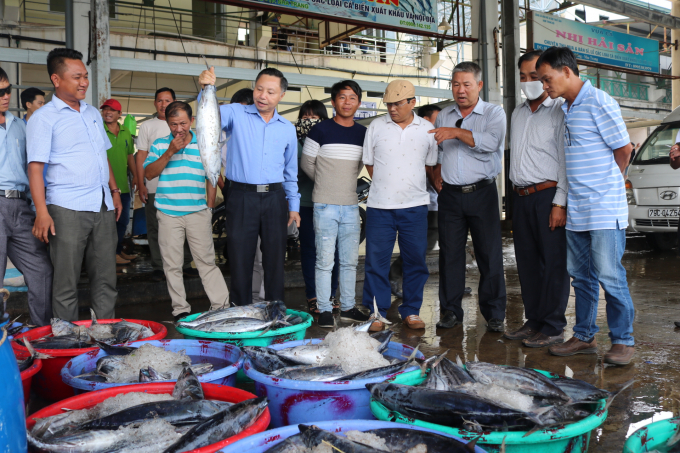 Ông Kim Văn Tiêu dẫn đoàn công tác tham quan mô hình khai thác tại cảng Hòn Rớ, xã Phước Đồng, TP Nha Trang, Khánh Hòa. Ảnh: KS.