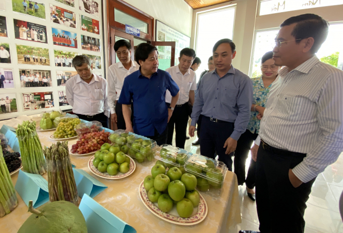 Các sản phẩm nông nghiệp đặc thù của tỉnh Ninh Thuận. Ảnh: CT.