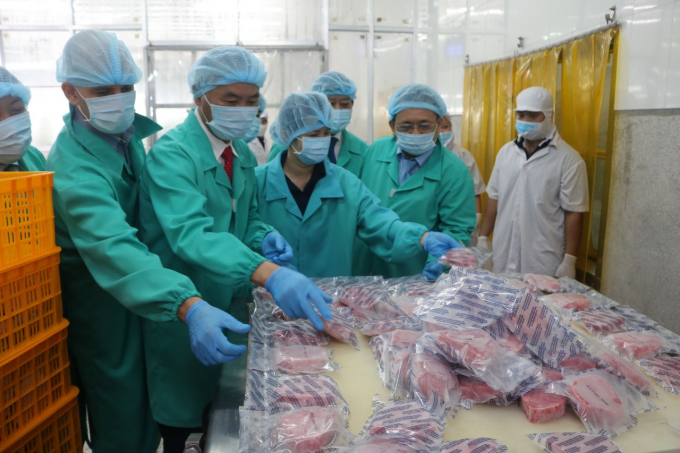 Thứ trưởng Phùng Đức Tiến (thứ 2 từ trái sang) tham quan quy trình chế biến sản phẩm cá ngừ của Công ty TNHH Hải Vương. Ảnh: KS.