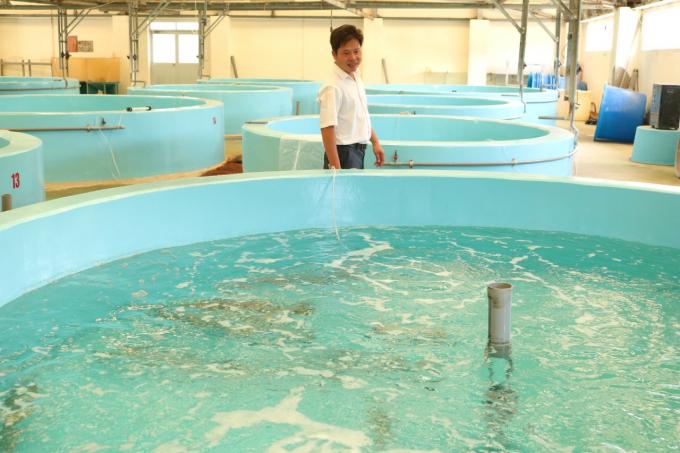 Trung tâm Nghiên cứu và phát triển nuôi biển của Viện Nghiên cứu nuôi trồng thủy sản III. Ảnh: KS.