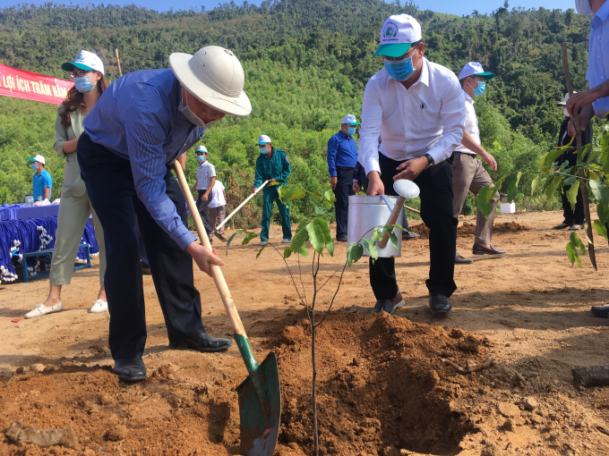 Khánh Hòa hưởng ứng 'Tết trồng cây' khi trồng 1 ha rừng phòng hộ ở Khánh Vĩnh. Ảnh: TV.