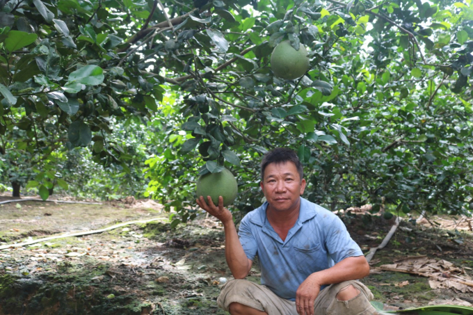Đến năm 2025, toàn tỉnh Khánh Hòa sẽ chuyển đổi cây trồng khoảng 5.809 ha. Ảnh: KS.