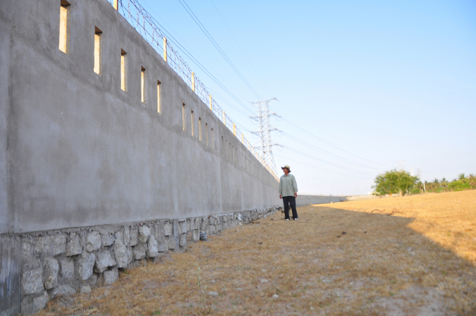 Bức tường của dự án điện mặt trời Bầu Ngư xây dựng cao khiến vật nuôi và gia súc không thể tiếp cận nguồn nước như trước đây. Ảnh: MH.