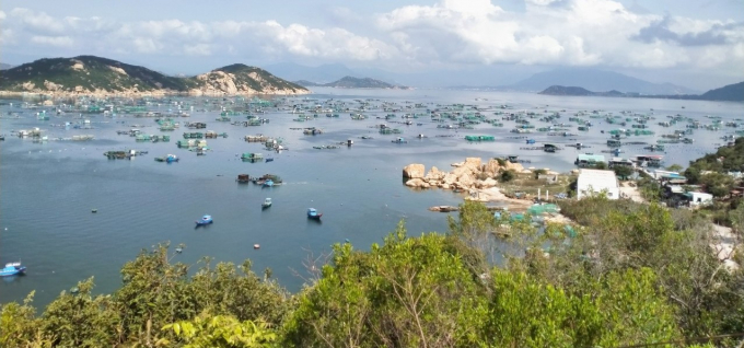 Lobster farming area in Cam Binh island commune. Photo: KS.