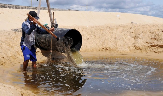 Nhiều doanh nghiệp nuôi tôm ở khu vực ven biển giáp ranh 2 thôn Phước Đồng và Xuân Hòa, xã An Hòa Hải nhiều lần bị xử phạt về hành vi xả thải gây ô nhiễm môi trường. Ảnh: Kim Sơ.