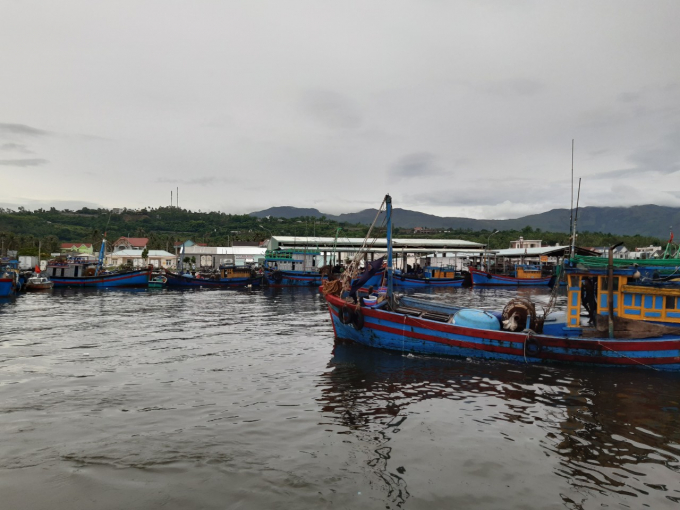 Plastic wastes collected from the ocean are brought to Dan Phuoc fishing port. Photo: KS.