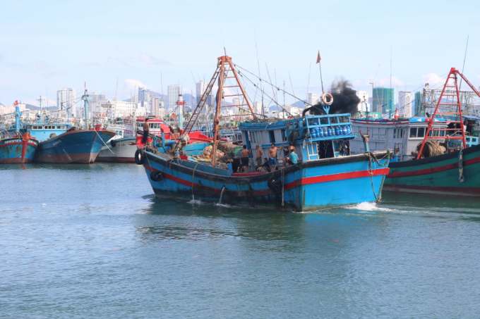Các tàu cá ở Khánh Hòa đã bám biển trở lại khai thác thủy để đáp ứng nguyên liệu cho thị trường nội địa và phục vụ chế biến xuất khẩu. Ảnh: Kim Sơ.